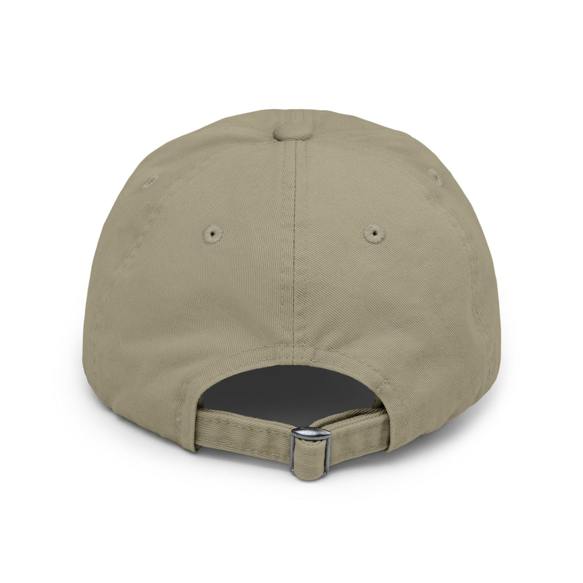 Reclaim By Force - Military Aesthetic Distressed Cap