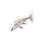 Amazing Bone Fish - Anime Fish Skeleton Sticker