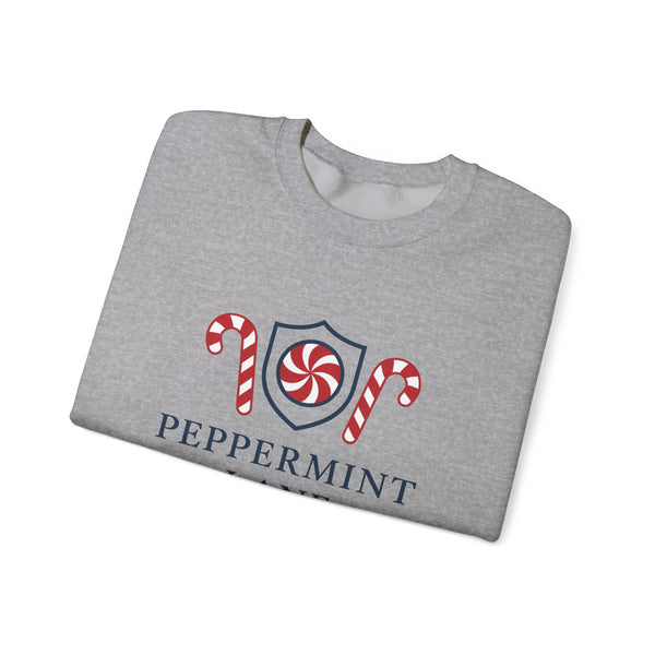 Folded gray shirt with peppermint-themed design on a white background