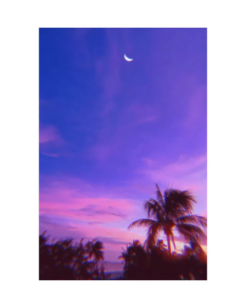 TROPICAL GLITCH - Aesthetic Purple Poster