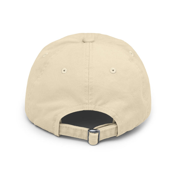 Reclaim By Force - Military Aesthetic Distressed Cap