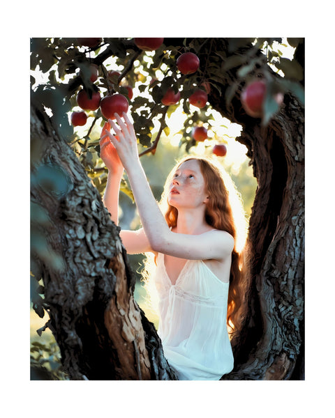 whimsical photography poster of a young woman sitting in a tree reaching up to grab an apple