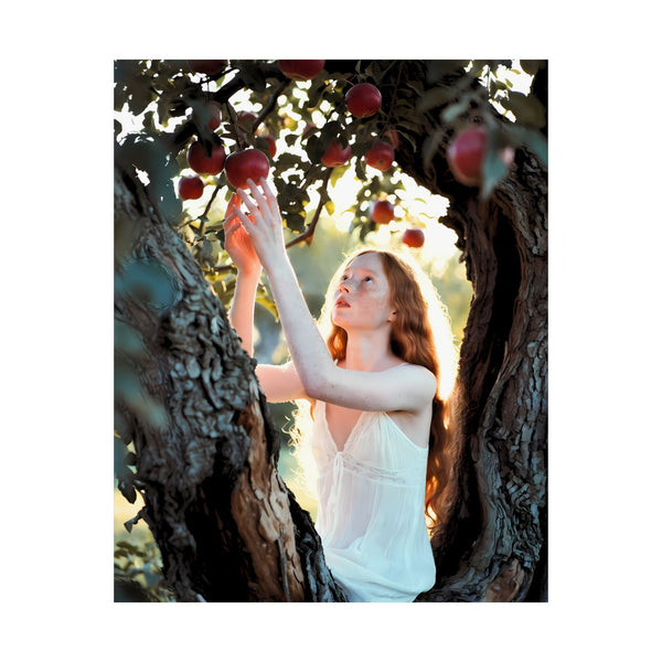 Summer in the Orchard - Whimsical Photography Poster Print
