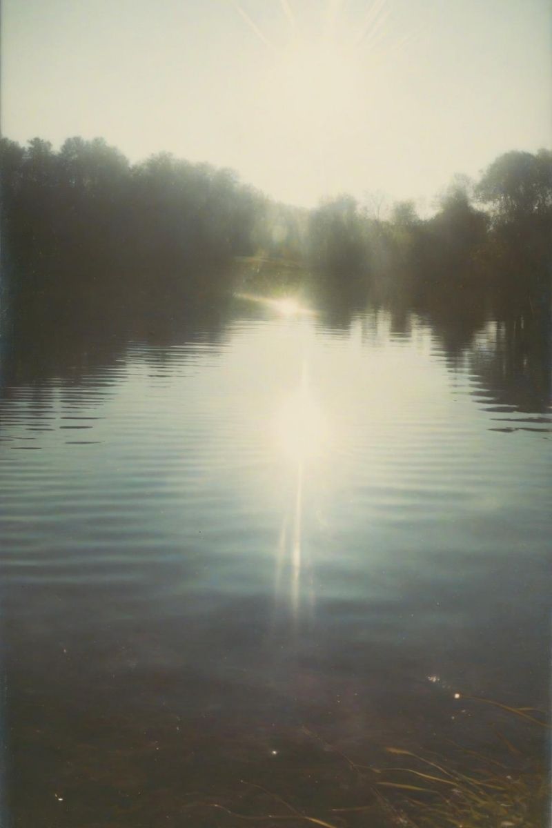 Earth Whispers - Forest Photography Book