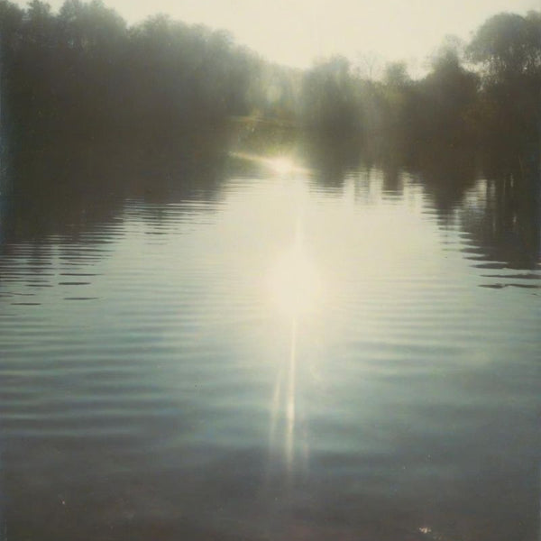 Earth Whispers - Forest Photography Book