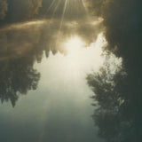 Sunlight filtering through trees over a misty lake