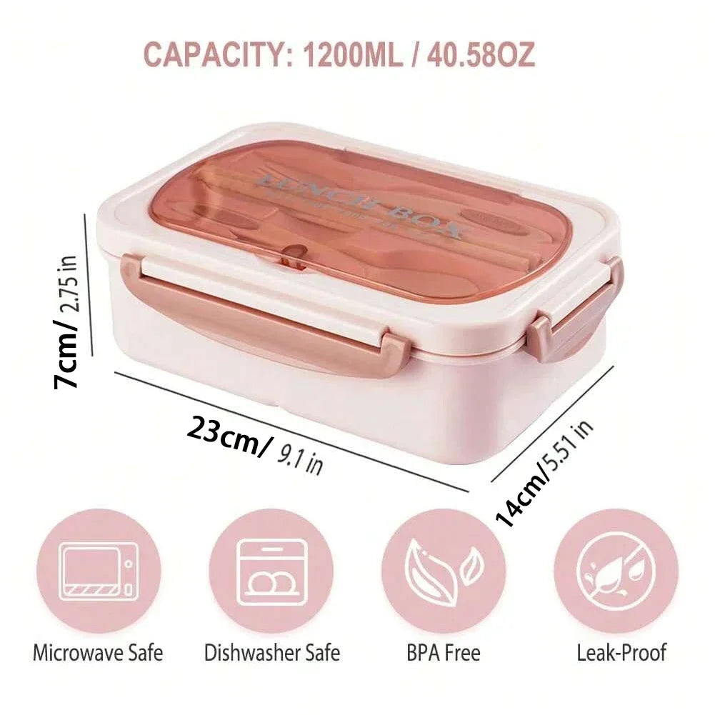 Rectangular colored bento box for adults with dimensions and features on a white background